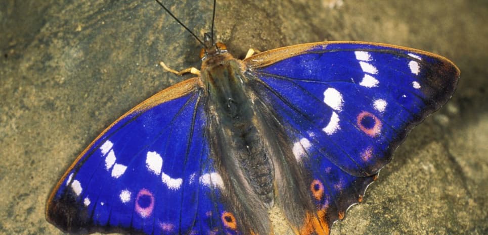 Image d'illustration pour Réchauffement & changement climatique : veille documentaire