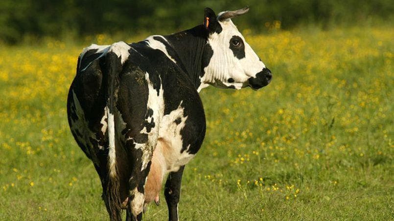 Image d'illustration pour Réchauffement & changement climatique : veille documentaire