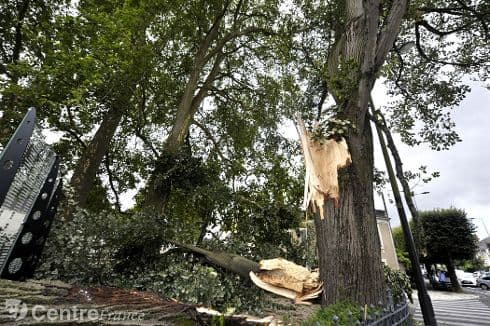 Image d'illustration pour Coup de vent : Bilan du passage de la dépression Hans